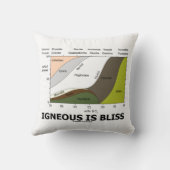 火炎は至福シリカ含有地質学ユーモア クッション (裏面)