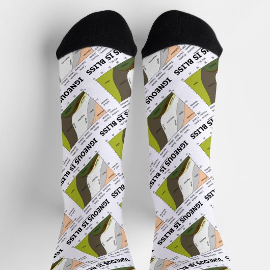 火炎は至福シリカ含有地質学ユーモア ソックス (上部)