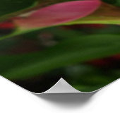 火炎カラ。 ポスター (角)