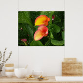 火炎カラ。 ポスター (キッチン)