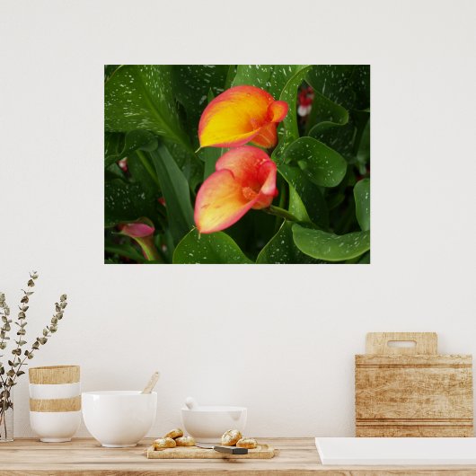 火炎カラ。 ポスター (キッチン)