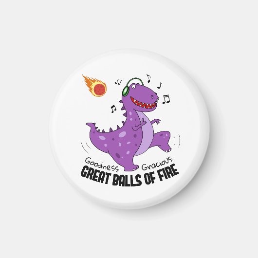 火素晴らし球恐竜流星群 マグネット (正面)