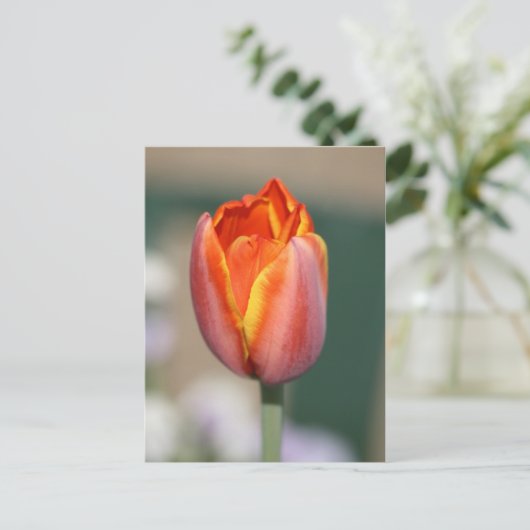 火花 ポストカード (スタンド正面)