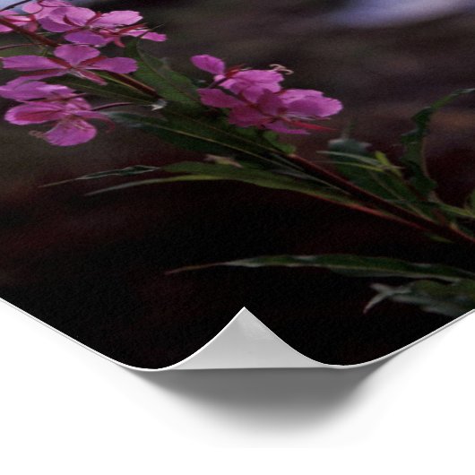 火草 ポスター (角)