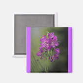 火草 マグネット (正面/裏面)