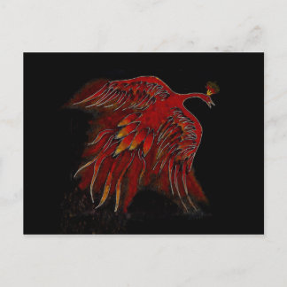 火葉書の生物 ポストカード