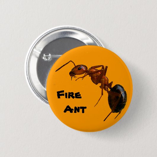 火蟻 缶バッジ (正面&裏面)