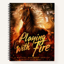 火遊付き：ジャーナル