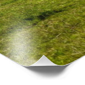 灯台のある牧草地の牛 フォトプリント            (角)