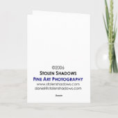 灯台反射 カード (裏面)