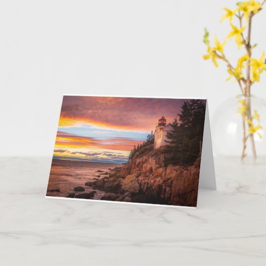 灯台 |アカディア国立公園メイン カード (黄色い花)