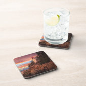 灯台 |アカディア国立公園メイン コースター (右側)