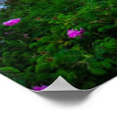 灯台 |ポイントライトハウスブリストルメイン ポスター (角)