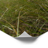 灯台 |マサチューセッツ州ライトハウス ポスター (角)