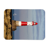 灯台 Beachy Head Light house England マグネット (横)