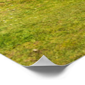 灯台 | Fanad Head Light house Ireland ポスター (角)