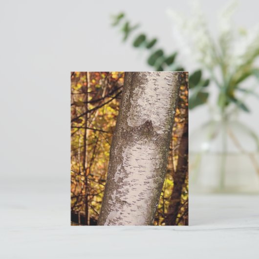 灰の木 ポストカード (スタンド正面)