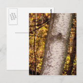 灰の木 ポストカード (正面/裏面)