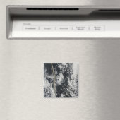 灰プルームの衛星表示 マグネット (インサイチュ (食洗機))