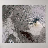 灰分の多い梅が立つ ポスター (正面)