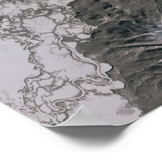 灰分の多い梅が立つ ポスター (角)