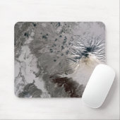 灰分の多い梅が立つ マウスパッド (マウス)