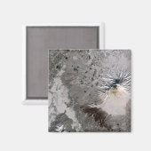 灰分の多い梅が立つ マグネット (正面/裏面)