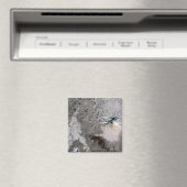 灰分の多い梅が立つ マグネット (インサイチュ (食洗機))