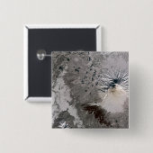 灰分の多い梅が立つ 缶バッジ (正面&裏面)