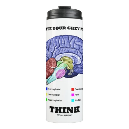 灰白質解剖学的脳考えを活性化する タンブラー (正面)