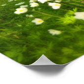 灰美しい ポスター (角)