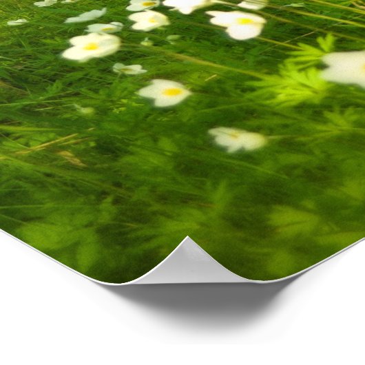 灰美しい ポスター (角)