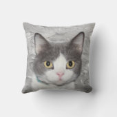 灰色および白いタキシードの子猫 クッション (裏面)