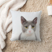 灰色および白いタキシード猫の投球 クッション (ブランケット)