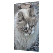 灰色および白く曖昧な猫 クリップボード (左)
