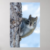 灰色お洒落リス ポスター (正面)