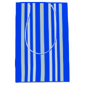 灰色がかった灰色の緑のストライプ線の青 ミディアムペーパーバッグ (正面)