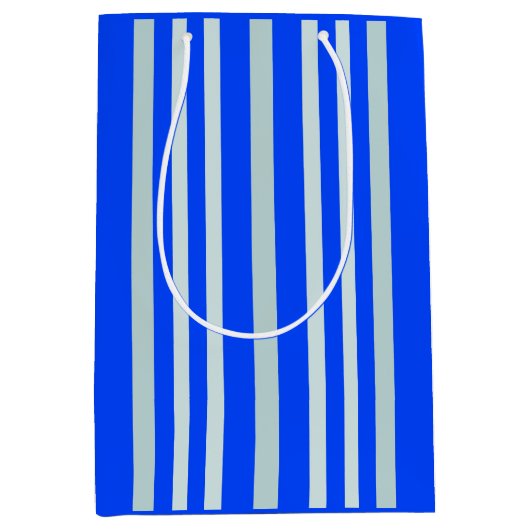 灰色がかった灰色の緑のストライプ線の青 ミディアムペーパーバッグ (正面)