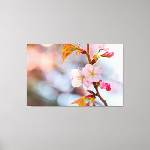 灰色がかった背景に対するピンクの桜 キャンバスプリント