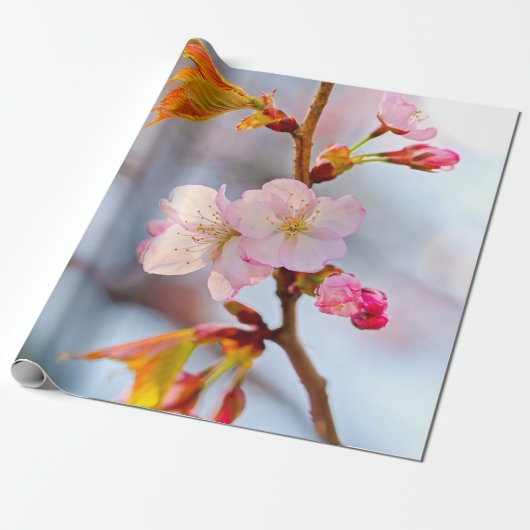 灰色がかった背景に対するピンクの桜 ラッピングペーパー (アンロールド)