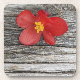 灰色と赤い花 コースター
