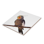 灰色と黄色のコックティエルペットの鳥の色の写真 タイル (側面)