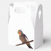 灰色と黄色のコックティエルペットの鳥の色の写真 フェイバーボックス (オープン)