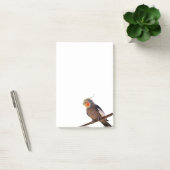 灰色と黄色のコックティエルペットの鳥の色の写真 ポストイット (オフィス)