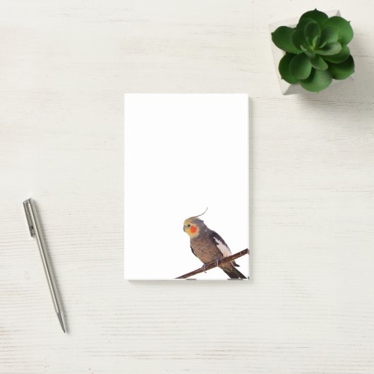 灰色と黄色のコックティエルペットの鳥の色の写真 ポストイット (オフィス)