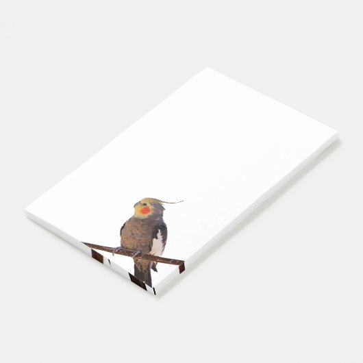 灰色と黄色のコックティエルペットの鳥の色の写真 ポストイット (アングル)