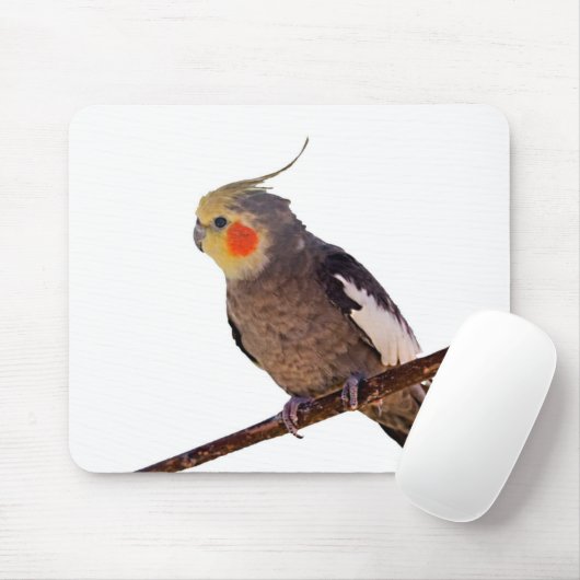 灰色と黄色のコックティエルペットの鳥の色の写真 マウスパッド (マウス)