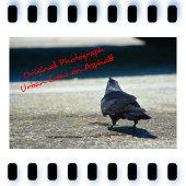 灰色と黒の色合いのゴシック風の烏 ノートブック