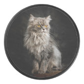 灰色のふわふわ猫 アイスホッケーパック (正面)