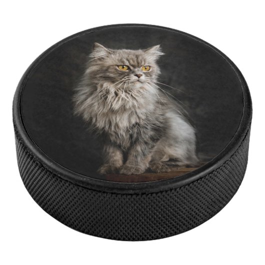 灰色のふわふわ猫 アイスホッケーパック (3/4)